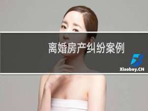 离婚房产纠纷案例