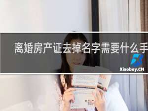 离婚房产证去掉名字需要什么手续