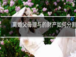 离婚父母赠与的财产如何分割