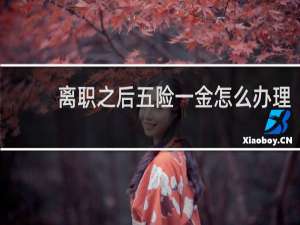 离职之后五险一金怎么办理