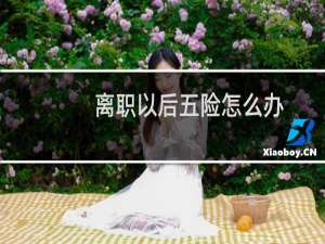 离职以后五险怎么办