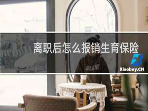 离职后怎么报销生育保险