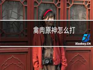 禽肉原神怎么打
