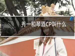 秀一和琴酒CP叫什么