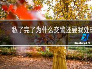 私了完了为什么交警还要我处理