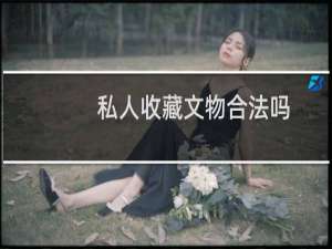 私人收藏文物合法吗