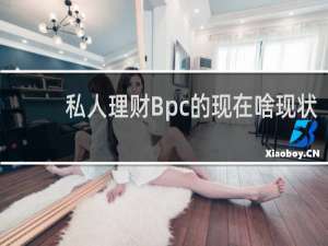 私人理财Bpc的现在啥现状