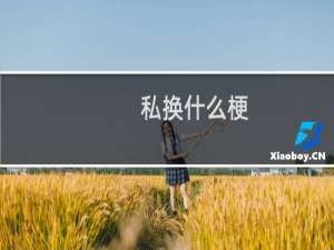 私换什么梗？什么梗