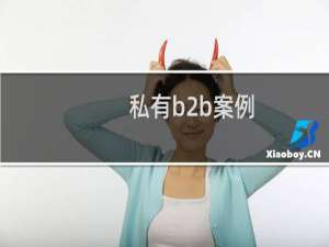 私有b2b案例