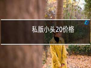 私版小头 价格