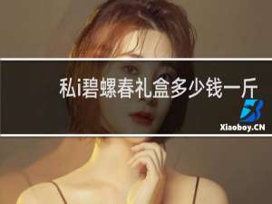 私i碧螺春礼盒多少钱一斤
