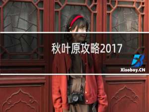 秋叶原攻略2017