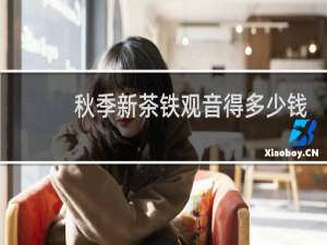 秋季新茶铁观音得多少钱