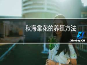 秋海棠花的养殖方法