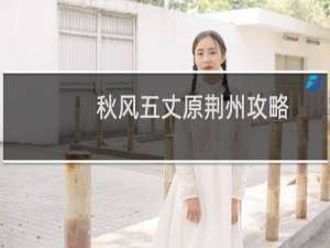 秋风五丈原荆州攻略