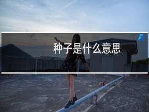 种子是什么意思