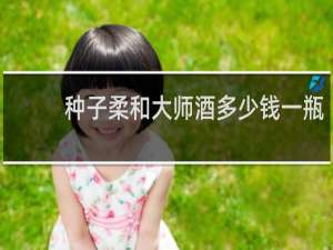 种子柔和大师酒多少钱一瓶