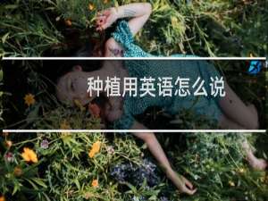 种植用英语怎么说
