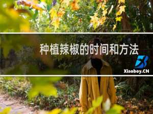 种植辣椒的时间和方法