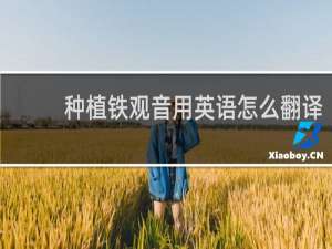 种植铁观音用英语怎么翻译
