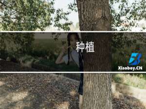 种植