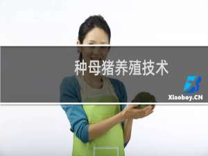 种母猪养殖技术