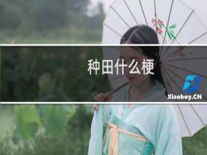 种田什么梗