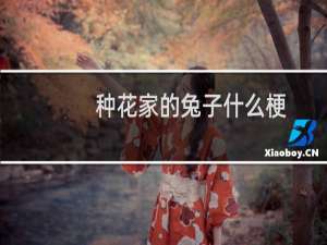 种花家的兔子什么梗
