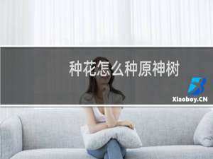 种花怎么种原神树