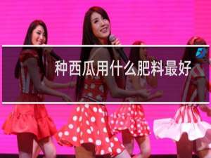 种西瓜用什么肥料最好（种西瓜）