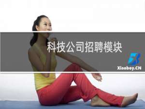 科技公司招聘模块