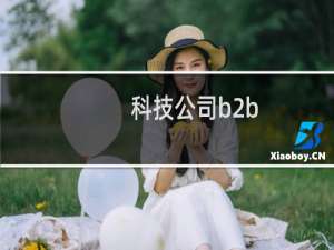 科技公司b2b