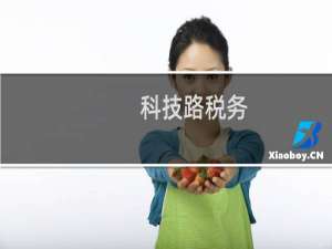 科技路税务