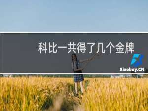 科比一共得了几个金牌