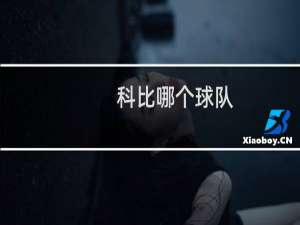 科比哪个球队