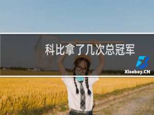 科比拿了几次总冠军