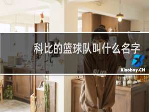 科比的篮球队叫什么名字