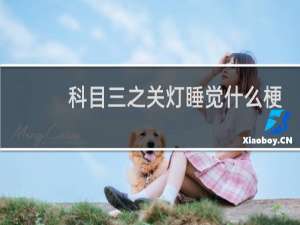科目三之关灯睡觉什么梗