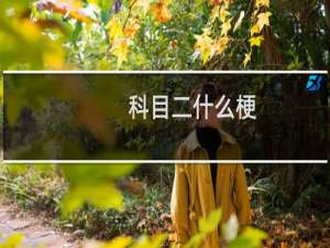 科目二什么梗