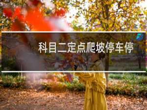 科目二定点爬坡停车停在什么位置（科目二爬坡定点停车有什么技巧）