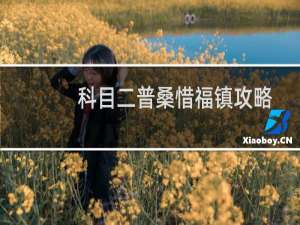 科目二普桑惜福镇攻略