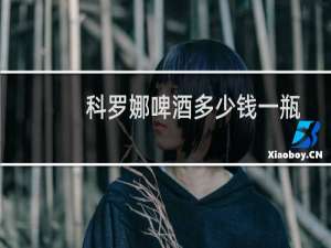 科罗娜啤酒多少钱一瓶