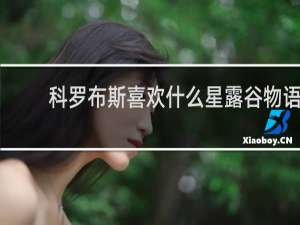 科罗布斯喜欢什么星露谷物语