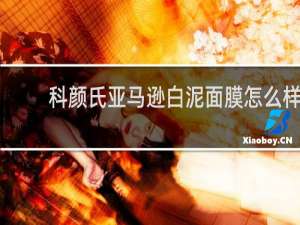 科颜氏亚马逊白泥面膜怎么样
