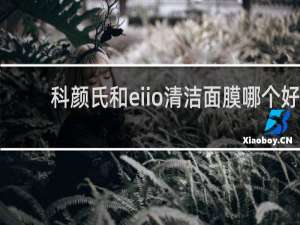 科颜氏和eiio清洁面膜哪个好