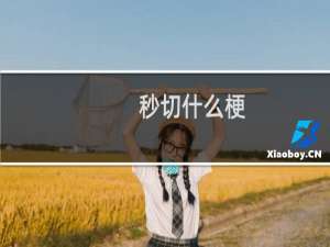 秒切什么梗