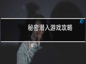 秘密潜入游戏攻略
