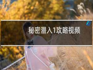 秘密潜入1攻略视频