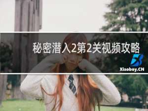 秘密潜入2第2关视频攻略