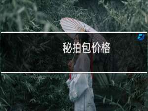 秘拍包价格